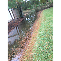 King tide Yorktown image